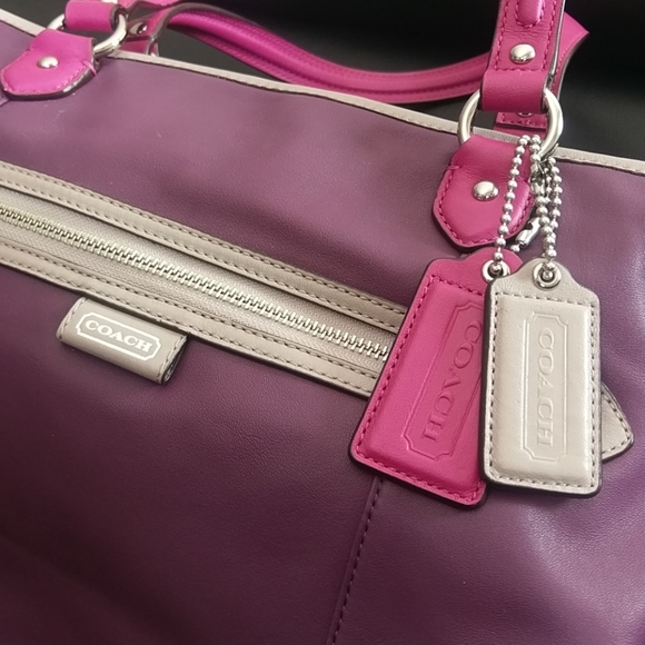 DAISY SPECTATOR LEATHER EMMA TOTE (COACH F23922) - Picture 3 of 10